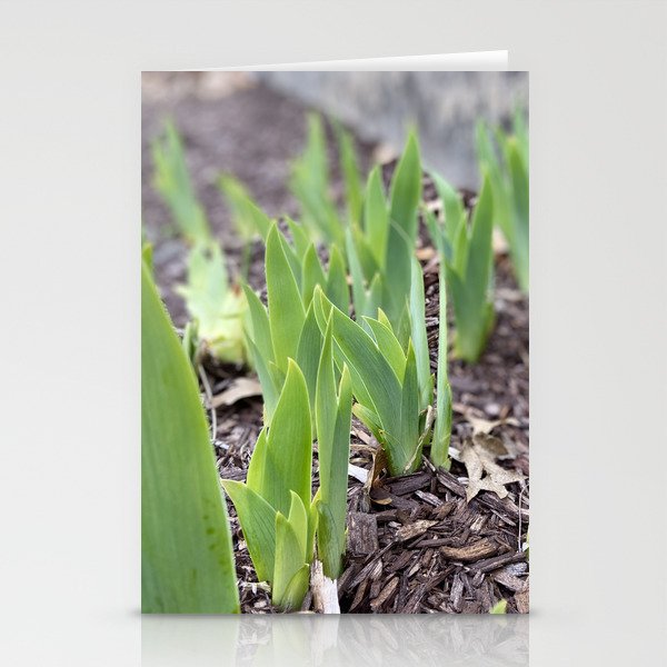 New Shoots Stationery Cards