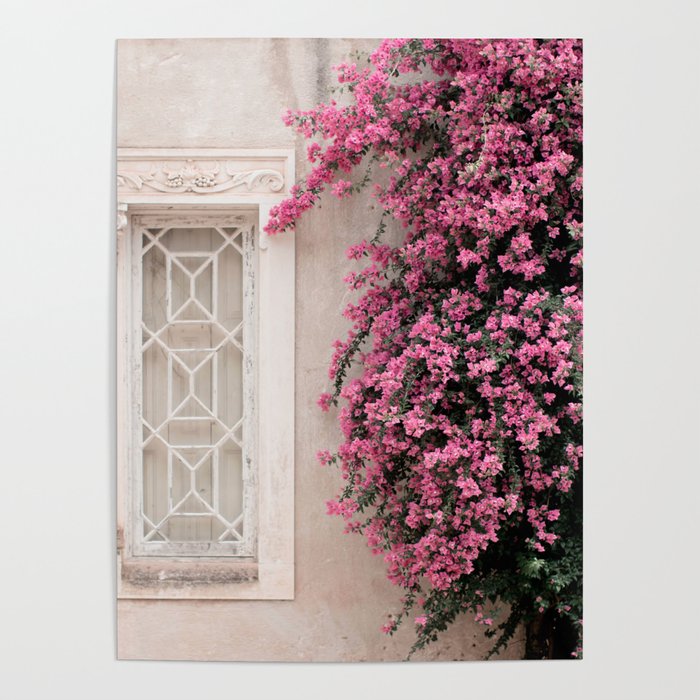 Pretty Window - Bougainvillea Flowers - Minimalist Portugal Travel Photography By Ingrid Beddoes Poster
