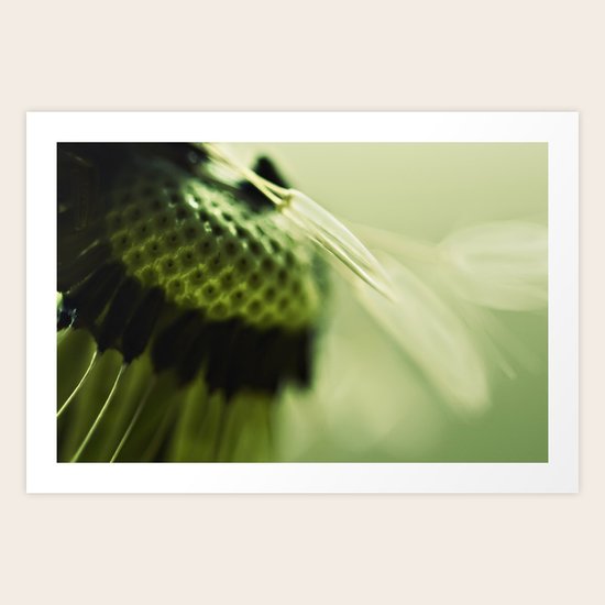 Fly Away Art Print