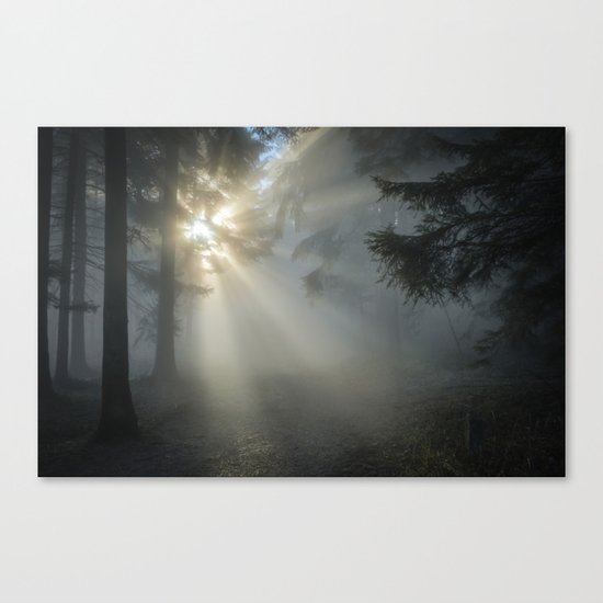 Winter Sunrise in the Forest Canvas Print