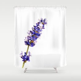 Mediterranean Lavender on White Shower Curtain