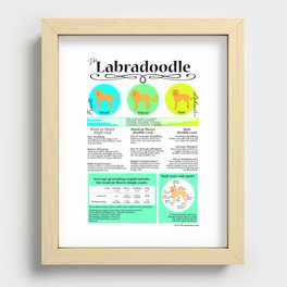 Labradoodle Coat & Grooming Infographic Recessed Framed Print