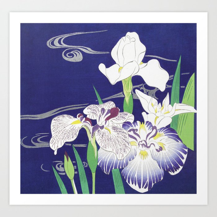 Irises (1890–1900) by Kogyo Tsukioka Art Print