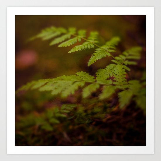 F E R N Art Print