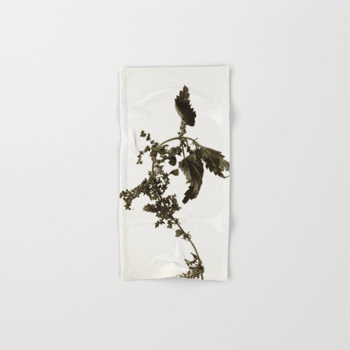 Florales · plant end 6 Hand & Bath Towel