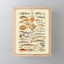 Vintage Fish Diagram // Poissons by Adolphe Millot 19th Century Science Textbook Artwork Framed Mini Art Print | College Dorm Decor, Beach Summer Sea, Drawing, Country Home Diagram, Girls Guys Living, Aesthetic Artwork, Picture Pictures, Retro Boho Botanical, Painting Paintings, Trippy Neutral Color 
