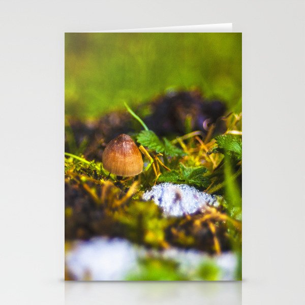 Small Mushroom Stationery Cards