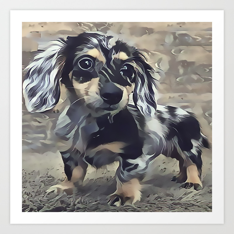 Long Haired Dachshund Art Print By Sunleil Society6