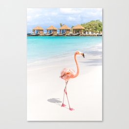 Flamingo Beach, Aruba Canvas Print