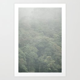 Cloud forest | Monteverde | Costa Rica | fine art photo print Art Print