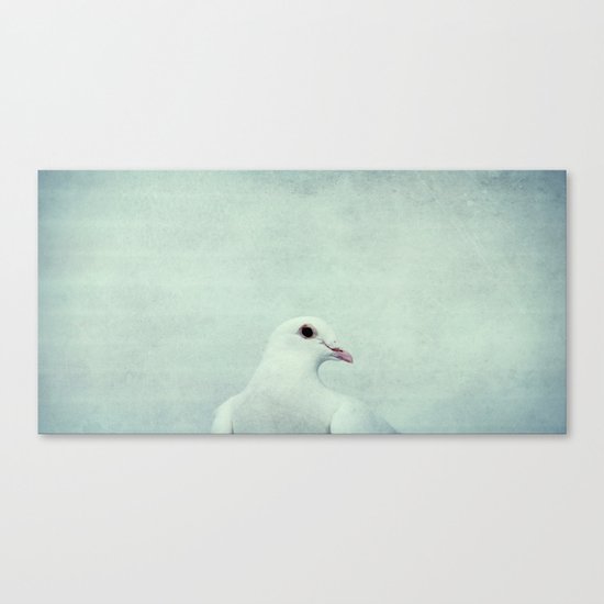 white wing Canvas Print