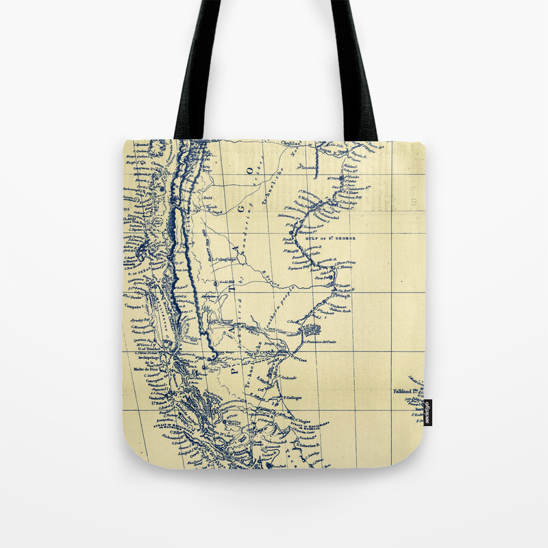 patagonia tote bag