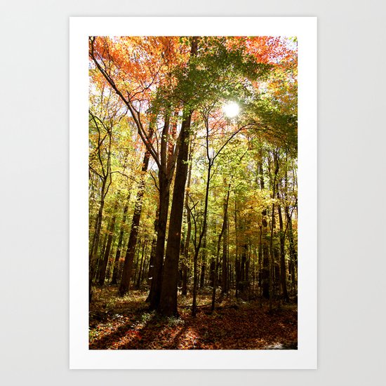 Let the Sunshine In (Autumn Colors) Art Print