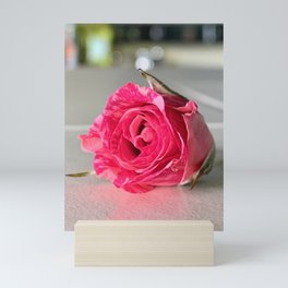 Little Rose Mini Art Print