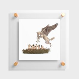 Coyote Nest Floating Acrylic Print