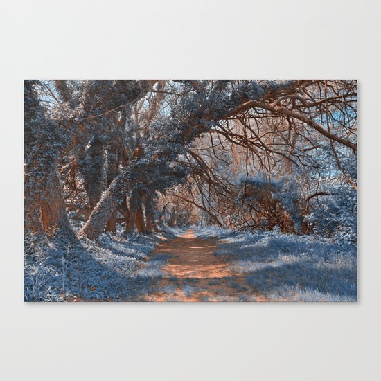 Wye Island Sapphire Trail Canvas Print
