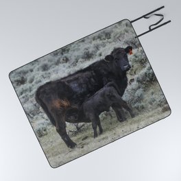 Spring calving season at Big Creek cattle ranch in Carbon County Wyoming Picnic Blanket