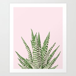 Desert Blossom - Pink and Green Succulent Art Print