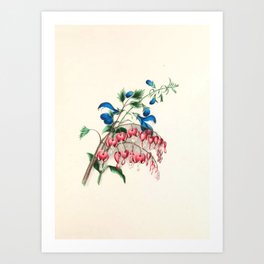  Salvia and dielytra flowers by Clarissa Munger Badger, 1866 (benefitting The Nature Conservancy) Art Print