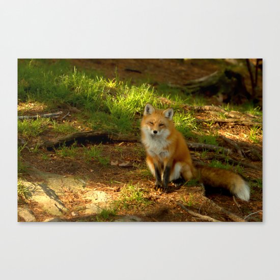 The look of love Canvas Print