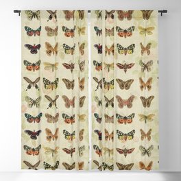 Moths & Butterflies Blackout Curtain