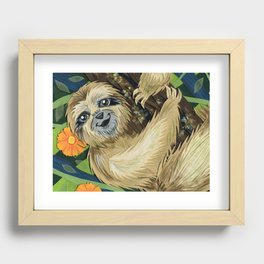 Three Toed Sloth Recessed Framed Print