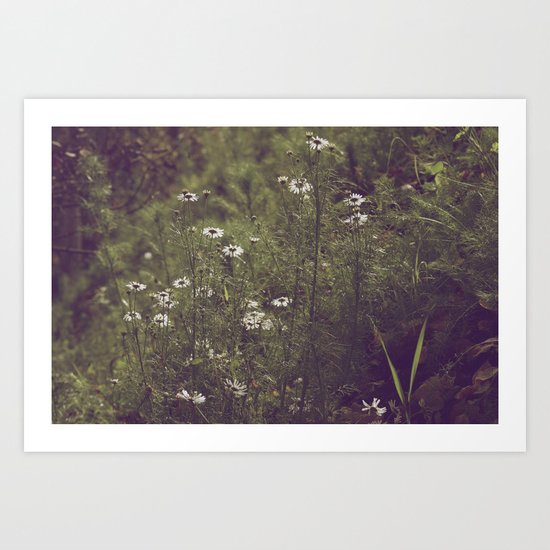 Sunlit Flowers Art Print