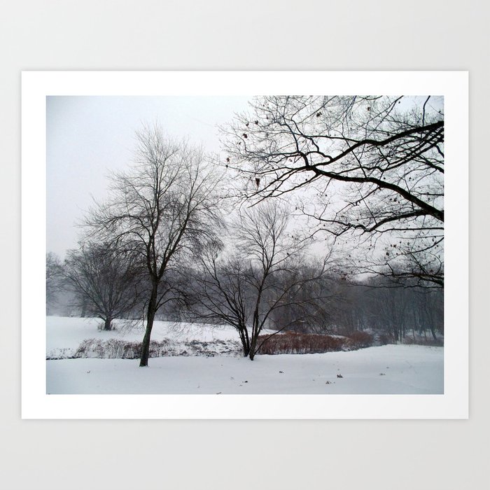 Park. Winter.  Art Print
