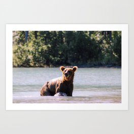 A Friendly Bear Art Print