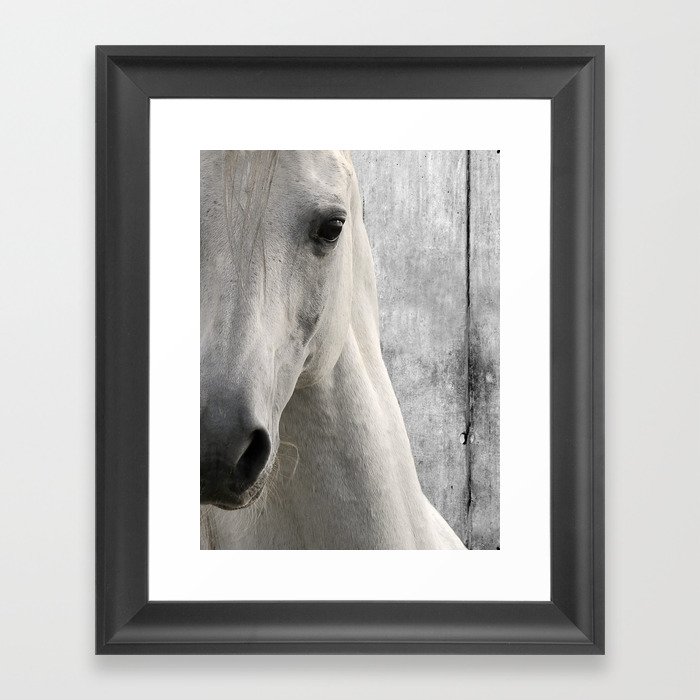 Horse Photography White Horse Close Up Modern Home Decor Art A833 Framed Art Print