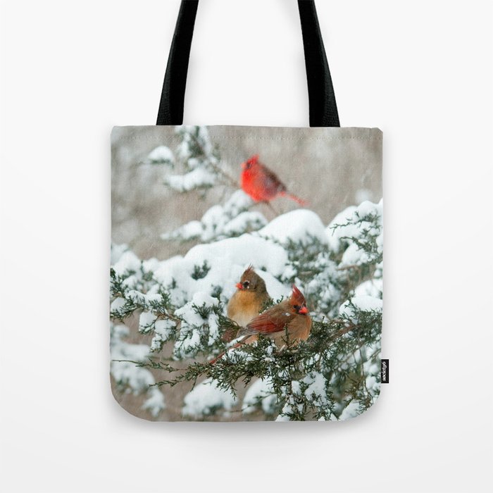 After the Snow Storm: Three Cardinals Tote Bag