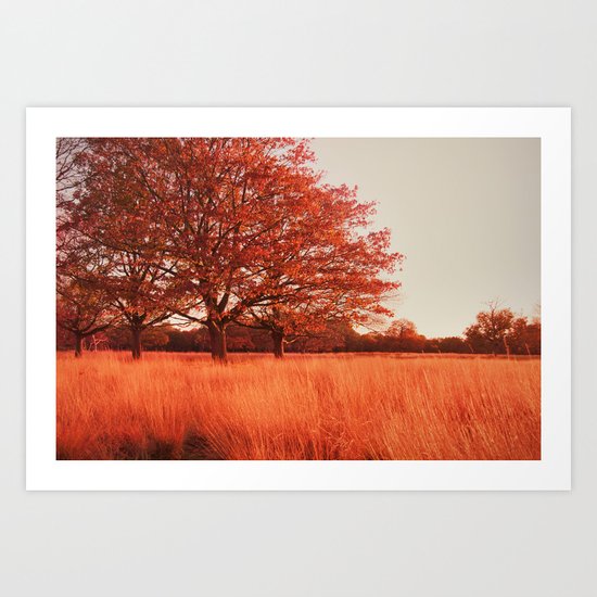 Autumn Art Print