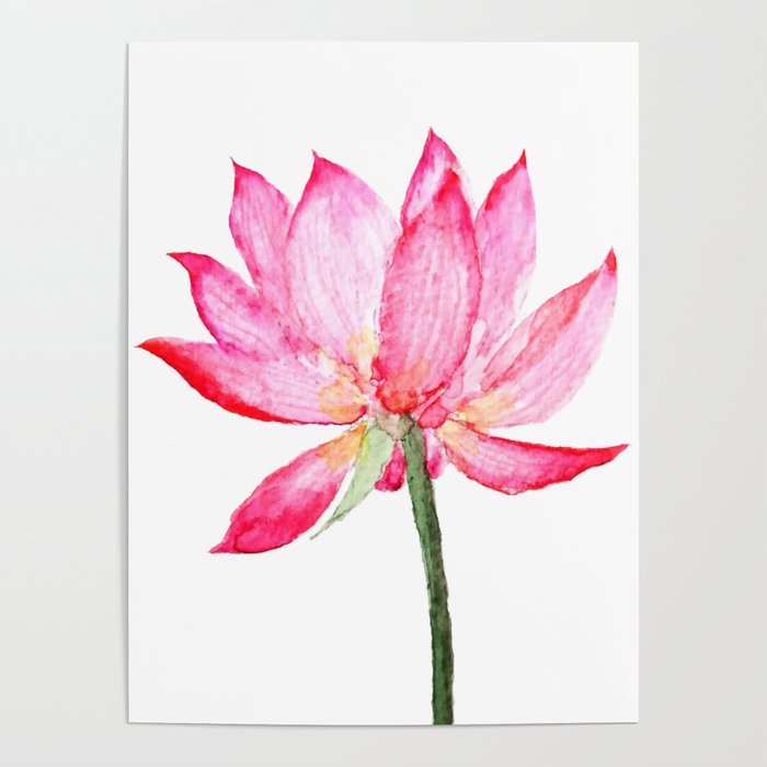 pink lotus flower Poster