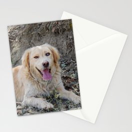 Golden Retriever Cooling Down On Hot  Stationery Card