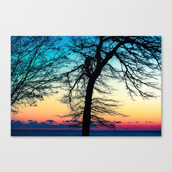 More Than I Can Say Canvas Print