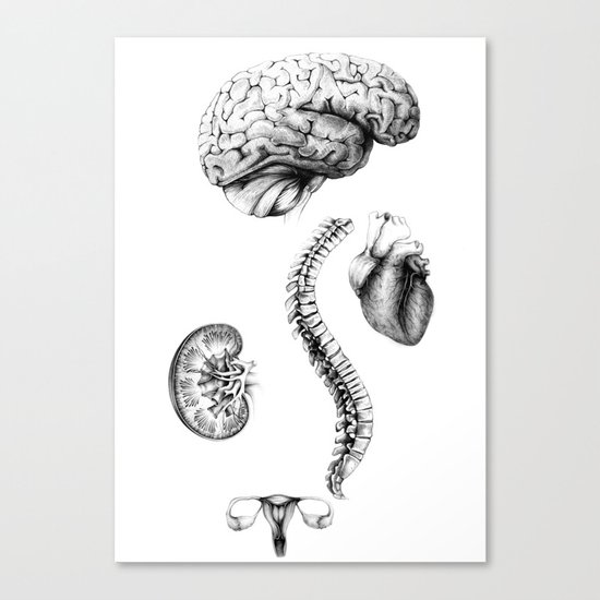 Anatomy Canvas Print
