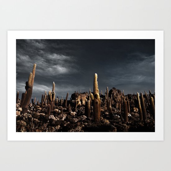 Cactus in Incahuasi island Art Print