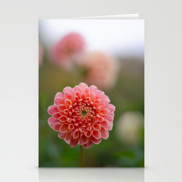 Dahlia Stationery Cards