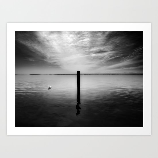 Lake and Swan. Landscape Photography. Art Print