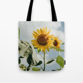 564 Sunflower Tote Bag
