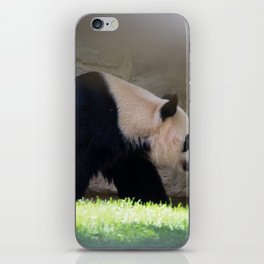 Panda  iPhone Skin