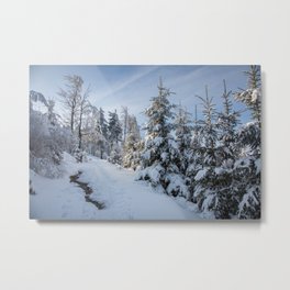 Owl Mountains in winter Metal Print | Nature, Dominika, Season, Natura, Forest, Snow, White, Landscape, Grey, Europa 