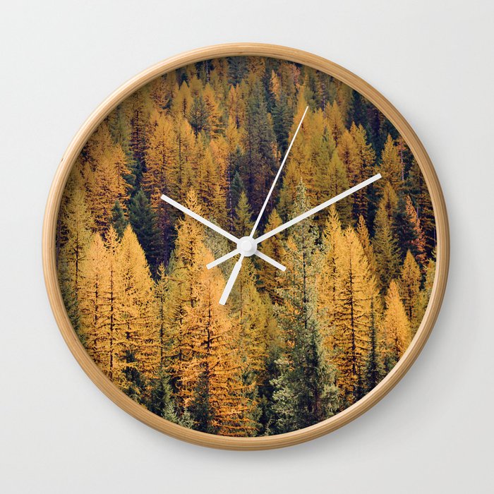 Autumn Tamarack Pine Trees Wall Clock