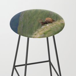 Elk of the Rocky Mountains - 1 Bar Stool