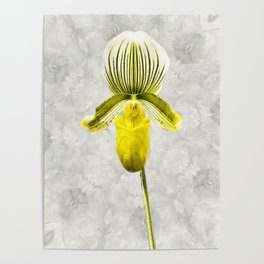 Yellow Lady - Yellow and Gray Floral Botanical Art Poster