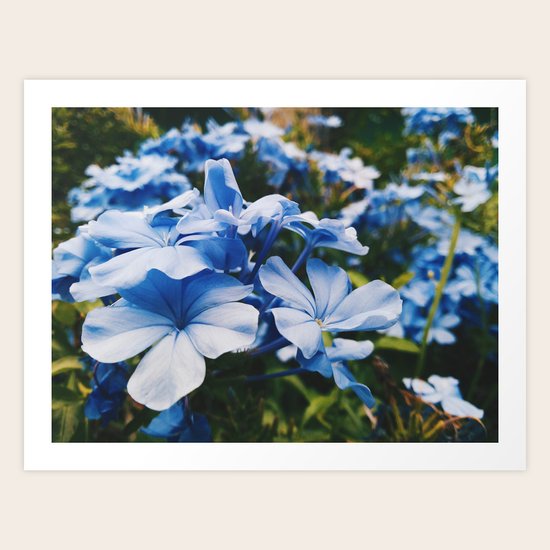 Dainty Art Print