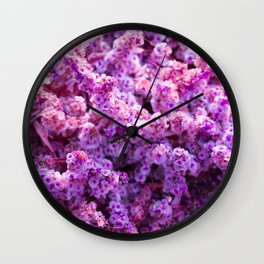 Rest Stop Flowers ~ Salt Flats, Utah Wall Clock