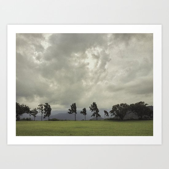 still life Art Print