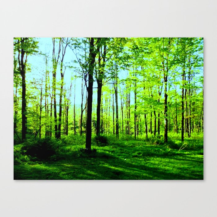 Sky Blue Morning Forest Canvas Print