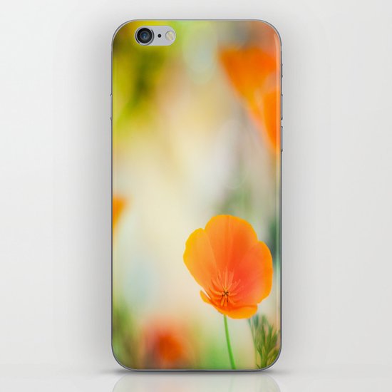 Poppy Rainbow iPhone & iPod Skin